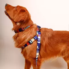 Conjunto de três peças de peito e arnês abstrato, padrão geométrico, emenda multicolorida, peito de animal de estimação e coleira de arnês com 1 peça - loja online