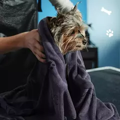 Toalha de secagem para cães e gatos, toalha de banho para animais de estimação, microfibra de secagem rápida para cachorros, produtos de banho para animais de estimação, absorvente médio para cães - Wolf Magazine