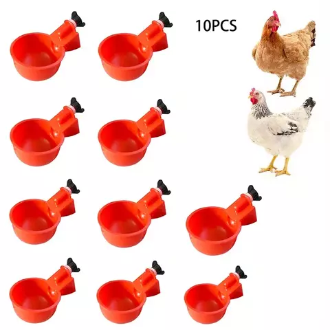 Bacia bebendo da galinha automática, distribuidor da água, codorna, aves domésticas, pato e pombo, escala livre