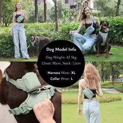 Coleira de cachorro personalizada, arnês para cães gravado, leve, veludo, designer, coleira e coleira, conjunto acolchoado, totalmente ajustável - loja online