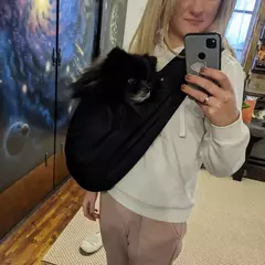 Imagem do Bolsa de transporte para cães de estimação, bolsa de ombro para viagem ao ar livre, filhote de cachorro, confortável, bolsa tote, gatinho, corgi, transporte de animais de estimação