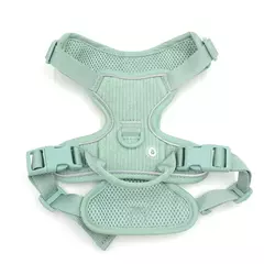 Coleira de cachorro personalizada, arnês para cães gravado, leve, veludo, designer, coleira e coleira, conjunto acolchoado, totalmente ajustável na internet
