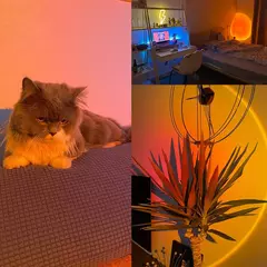 LED USB Sunset Lamp, Nightlights, Projetor, Birthday Party, Mood Lights, Quarto, Sala de estar, Fotografia de parede - comprar online