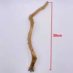 Pet pé vara uva selvagem pólo de madeira papagaio cockatiel periquito estação placa mordida garra moagem brinquedo gaiola pássaro acessórios