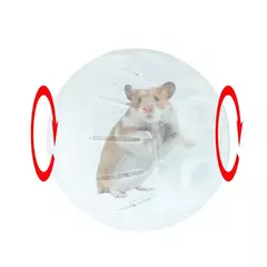 Correndo Exercício Ball para Hamster, Roda para Hamsters, Correr, Seguro, Urso Dourado