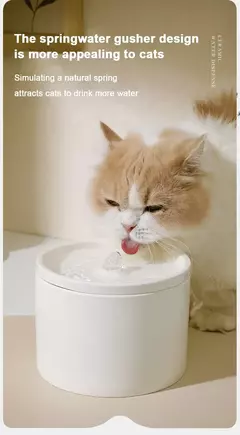 Dispensador de filtro de fonte de água automático ultra-silencioso para gato de estimação para cão fluindo circulação silenciosa filtragem alimentador de água de cerâmica - comprar online