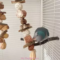 Bloco colorido pássaro moagem brinquedo, Bico moagem brinquedo, Promove a saúde do bico e longos períodos, Entretenimento para treinamento do pássaro papagaio - comprar online