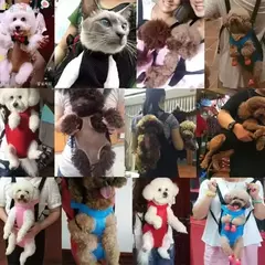 Gato de estimação cão ombro duplo respirável portátil viagem pet cão transportadora mochila malha transportadora saco frontal pequeno cão gatos ao ar livre - comprar online
