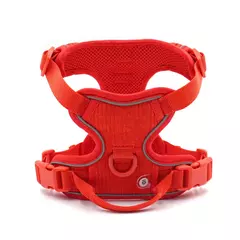 Coleira de cachorro personalizada, arnês para cães gravado, leve, veludo, designer, coleira e coleira, conjunto acolchoado, totalmente ajustável