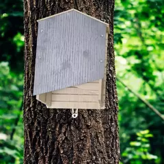 Casa para morcegos profissional fácil de terra e dobrar Esay para instalar abrigo de proteção de caixa de morcego de madeira resistente às intempéries premium