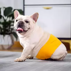 Cães masculinos barriga bandas reutilizáveis menino cães fraldas lavável para cães pequenos médios grandes macio ajustável calças fisiológicas do cão de estimação - comprar online