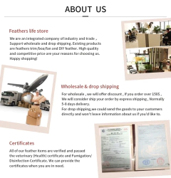 Boa de penas de avestruz de 1 metro, 3 6 8 10 15 camadas, guarnição de avestruz real natural para fantasia de halloween, vestido de festa de casamento, decoração xale - Wolf Magazine