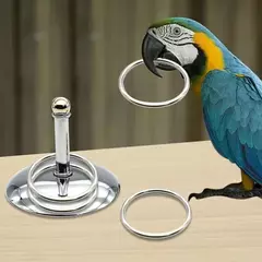 Imagem do Pássaros papagaios brinquedos de treinamento interativo desenvolvimento inteligência empilhamento anel metal conjuntos treinamento pássaros suprimentos acessórios para animais estimação