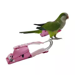 Papagaio fralda com laço bonito colorido fruta floral cockatiel pombos pequeno médio grande aves de estimação vôo terno roupas lavável - Wolf Magazine