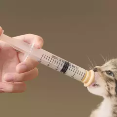 Mamilo de mamadeira com mamilo de silicone, recém-nascido, cachorro, gato, hamster, coelhos, gatinhos, filhotes, chupeta - loja online
