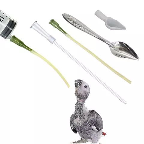 Mangueira conta-gotas para alimentação de pássaros, alimentador pequeno para animais de estimação, tubo de agulha de água, mangueira de injeção líquida, seringa de alimentação de papagaio, kits de colher