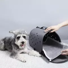 Fraldas absorventes para cães, 100/50/40/20 peças, descartáveis, treinamento de cachorros, almofadas de xixi, secagem rápida, superfície de carvão de bambu, almofada limpa - comprar online