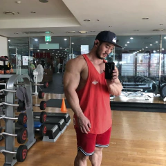 Camisa esportiva sem mangas masculina, tops de algodão, ginásio Fitness, músculo, camiseta masculina de impressão, basquete, musculação, novo - loja online