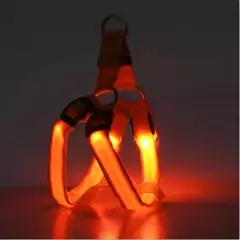 Nylon pet segurança led arnês trela conjunto cão ajustável piscando luz arnês trela corda cinto colar colete para cães suprimentos para animais de estimação - Wolf Magazine