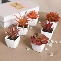 Mini suculenta artificial planta verde plástico Wwhite bacia, Home Window Sill, Restaurante Desktop Bookshelf Decoração, 6pcs por conjunto - loja online