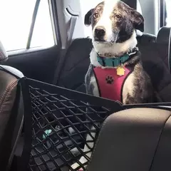 Rede de proteção para isolamento de carro, assento traseiro para cães de estimação, rede elástica de separação de armazenamento de camada dupla, trilho de segurança para animais de estimação na internet