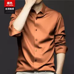 Imagem do Camisa de seda gelo manga longa masculina, slim fit, suave, anti-rugas, sem engomar, cor sólida, camisas de luxo, 6XL