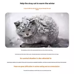 Casa para cães e gatos vadios, à prova d'água, ao ar livre, inverno, quente, para animais de estimação, camas de dormir, dobrável, lavável, para cães pequenos, suprimentos para cachorros - Wolf Magazine