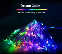 Smart Bluetooth LED String Fairy Lights, Dreamcolor RGB Lights, guirlanda para o ano novo, decoração do casamento, USB, 5V, WS2812B - loja online