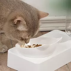 Pet Bowl 15 Graus Tilt para Proteger a Vértebra Cervical Dog Food Bowl Automático Beber Alimentador Pet Alimentação Suprimentos