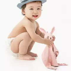 Bebê Segurança Cobertor Macio Algodão Musselina Consolador para Recém-nascido Infantil Dormir Snuggle Toy Stuffed Animal Acalme Appease Toalha - Wolf Magazine
