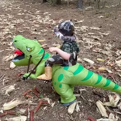 Nova venda quente engraçado criança adulto inflável equitação dinossauro verde cosplay traje crianças fantasia vestido de festa tema do feriado do dia das bruxas - comprar online
