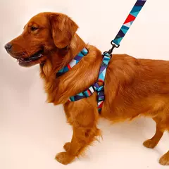 Imagem do Abstract Peito e Arnês Set para Pet, Dog Webbing Leash, Walking Leash, Dog Collar, Conjunto de três peças, 1pc
