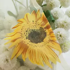 Tule Floral em Cortinas Puras, Tratamento Janela, Painel Persianas, Sala de estar, Quarto, Cozinha, Sombra, Roxo, Peônia - comprar online