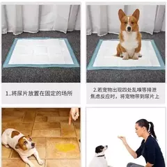 Fraldas absorventes para cães, 100/50/40/20 peças, descartáveis, treinamento de cachorros, almofadas de xixi, superfície de secagem rápida, almofada limpa, suprimentos para cães na internet