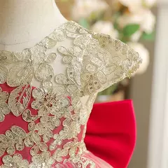 Bordado Elegante Crianças Princesa Vestidos para Meninas Luxo Golden Lace Vintage Crianças Festival Party Gown Bebê Batismo Vestidos - Wolf Magazine