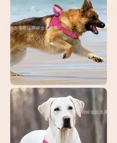 Novo coleira de colete para cães, cinta peitoral grande para cães, cavalo, golden retriever, coleira lateral de pastor, conjunto de arnês e coleira para animais de estimação - comprar online