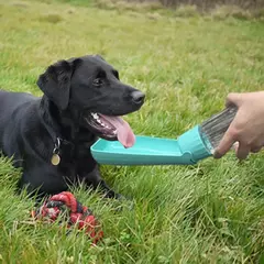 Garrafa de água portátil para cães, para cães pequenos e grandes, gatos, à prova de vazamento, alta capacidade, tigela para beber animais de estimação, suprimentos labrador beagle - comprar online