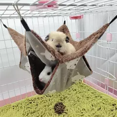 Rede de hamster de pelúcia quente pequeno animal dupla camada engrossar saco de dormir ninho animais de estimação rato esquilo pendurado gaiola casa kta? - comprar online
