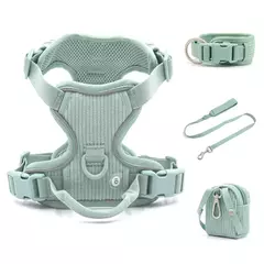 Coleira de cachorro personalizada, arnês para cães gravado, leve, veludo, designer, coleira e coleira, conjunto acolchoado, totalmente ajustável - comprar online
