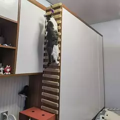 Escada de escalada para gatos, ponte para gatos, gaiola de sisal, corda de madeira, móveis para animais de estimação, gatinho, arranhador, poste, brinquedos, árvore na internet