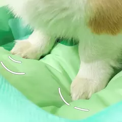 Madden-Cama para cães e gatos, almofada de gelo, tapete para cachorro, canil frio e frio, qualidade superior, verão na internet