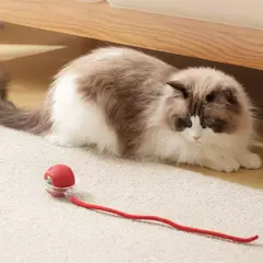 Imagem do Brinquedos para gatos recarregáveis, interativos, inteligentes, interação para animais de estimação, bola de rolamento automática, acessórios para gatos, coisas elétricas para cães