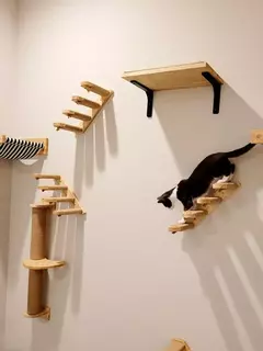 Montado na parede gato escalada prateleira passos móveis de parede escada com corda sisal arranhando pós árvore para gatos gatinho dormir - Wolf Magazine