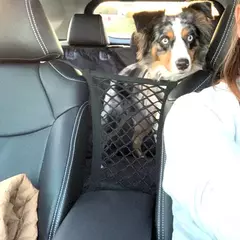 Rede de isolamento de segurança do cão da cerca do animal de estimação do carro durável crianças viagem ferroviário barreira malha filhote de cachorro palito anti-colisão esteira suprimentos de kitt