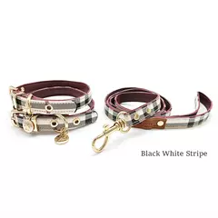 Coleira e coleira para animais de estimação conjunto de couro moda coleiras ajustáveis para cães suprimentos para animais de estimação coleiras para cães médios e grandes presente para cães - Wolf Magazine