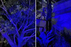 Projetor de Luz Laser Firefly IP65 Impermeável, Luz de Natal, Jardim ao ar livre, Pátio, Casa, Decoração do quarto - comprar online
