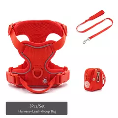 Coleira de cachorro personalizada, arnês para cães gravado, leve, veludo, designer, coleira e coleira, conjunto acolchoado, totalmente ajustável - Wolf Magazine