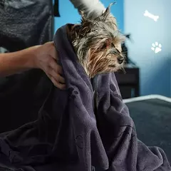Toalha de secagem rápida de microfibra para cães e gatos, Toalha de banho, Absorvente, Puppy Medium Products, Pet Bath Products na internet