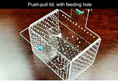 Caixa de isolamento para tanque de peixes, calibre 1mm/3mm, acrílico, caixa de reprodução de aquário, proteção para peixes pequenos, caixa de incubação de fritar suspensa - Wolf Magazine