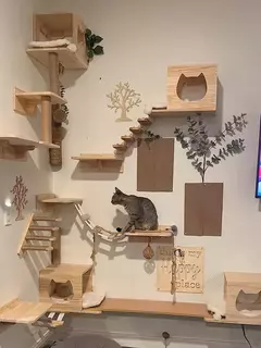 Montado na parede gato escalada prateleira passos móveis de parede escada com corda sisal arranhando pós árvore para gatos gatinho dormir na internet